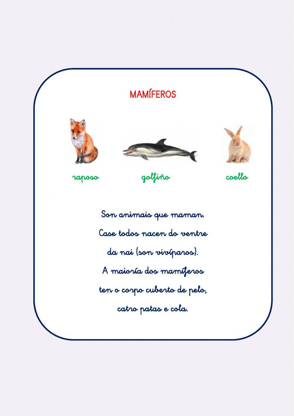 ANIMAIS VERTEBRADOS