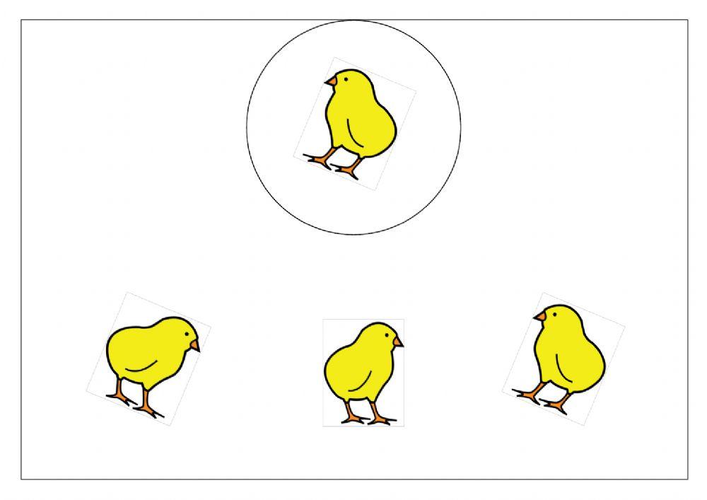 Attenzione visiva Animali della fattoria