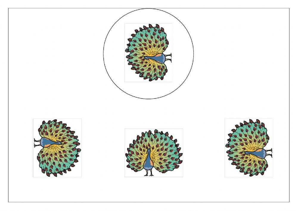 Attenzione visiva Animali della fattoria