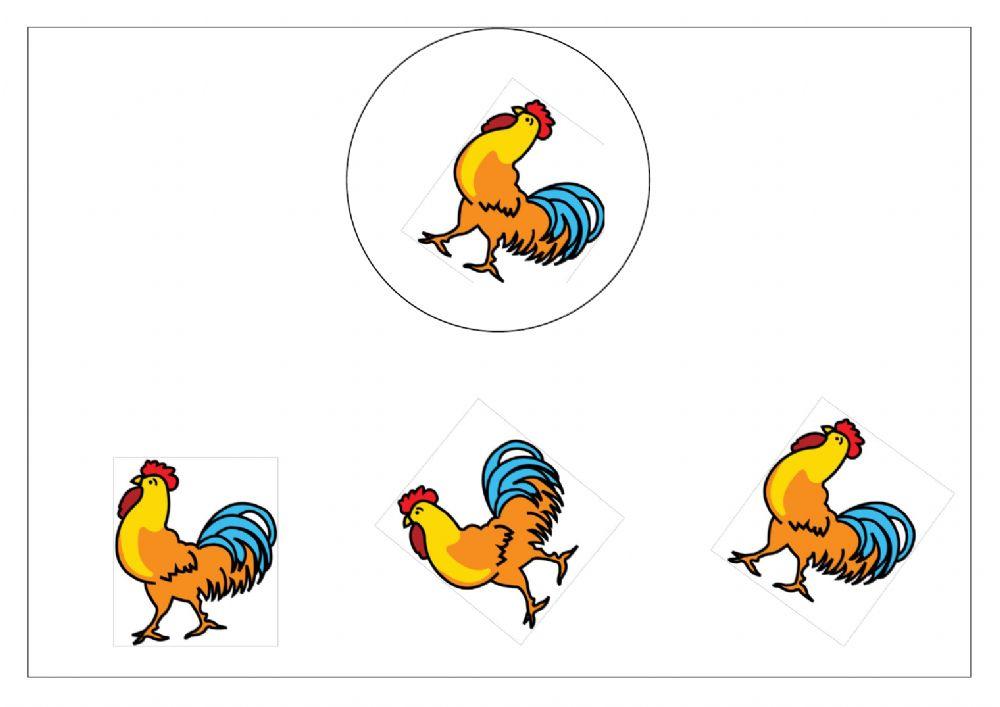 Attenzione visiva Animali della fattoria