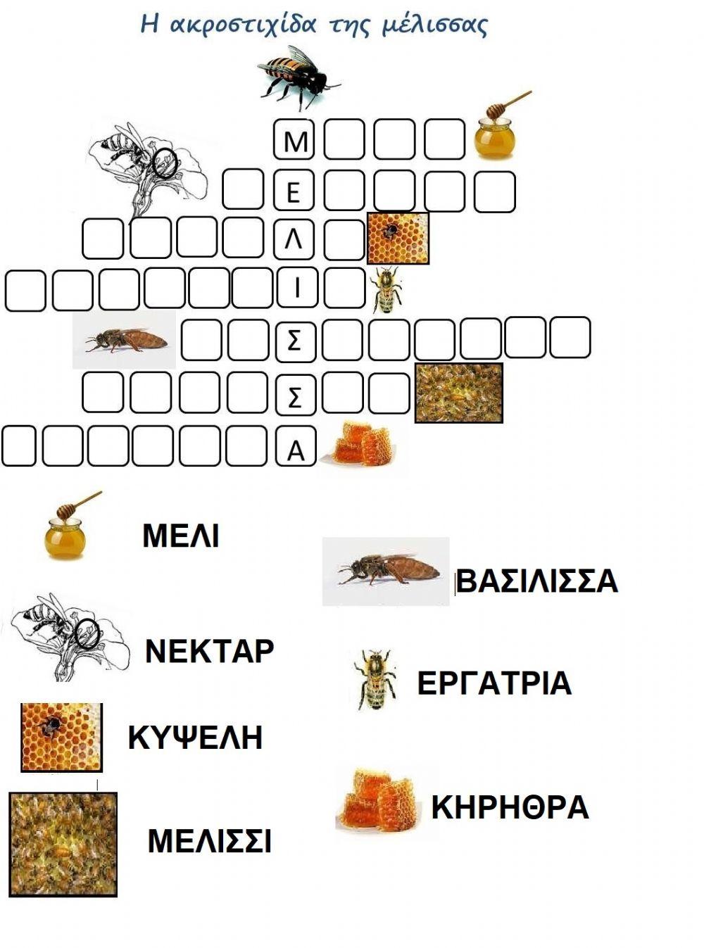 Η ΑΚΡΟΣΤΙΧΙΔΑ ΤΗΣ ΜΕΛΙΣΣΑΣ