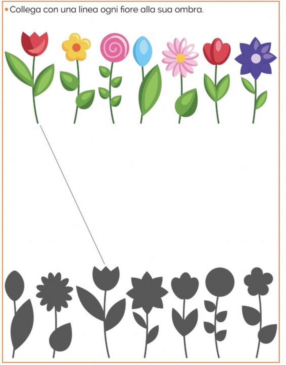 Φύλλο Εργασίας-Άνοιξη-σκιές