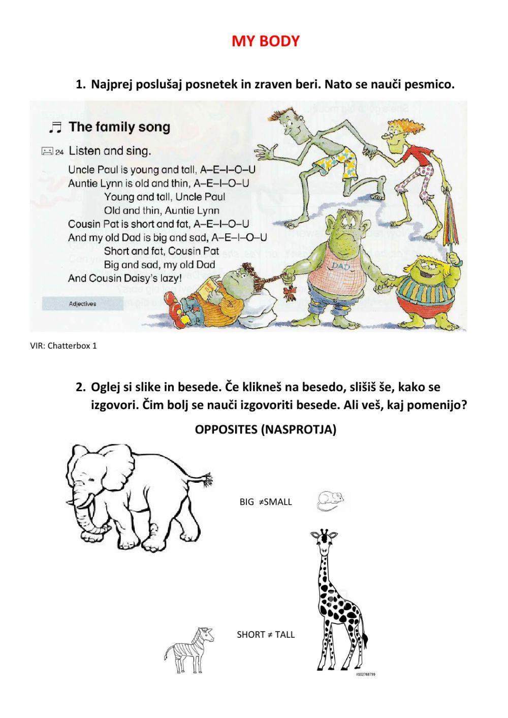 My body - adjectives