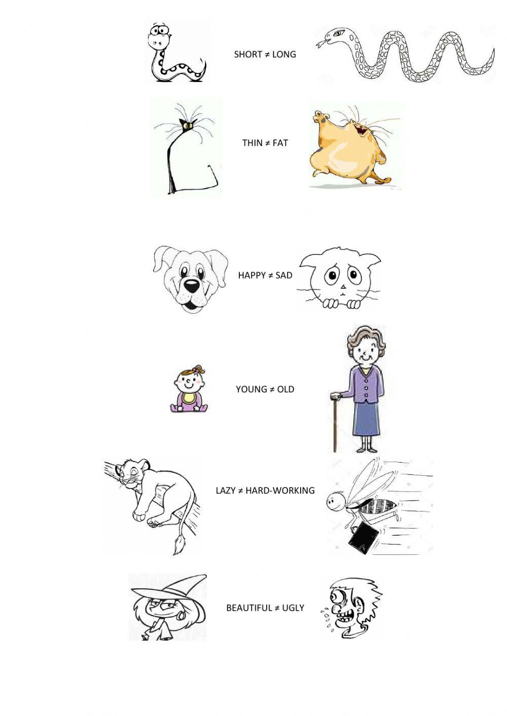 My body - adjectives