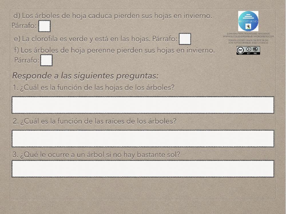 Ficha de comprensión lectora 12-5 6º EP