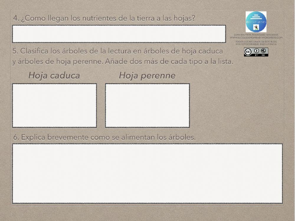 Ficha de comprensión lectora 12-5 6º EP
