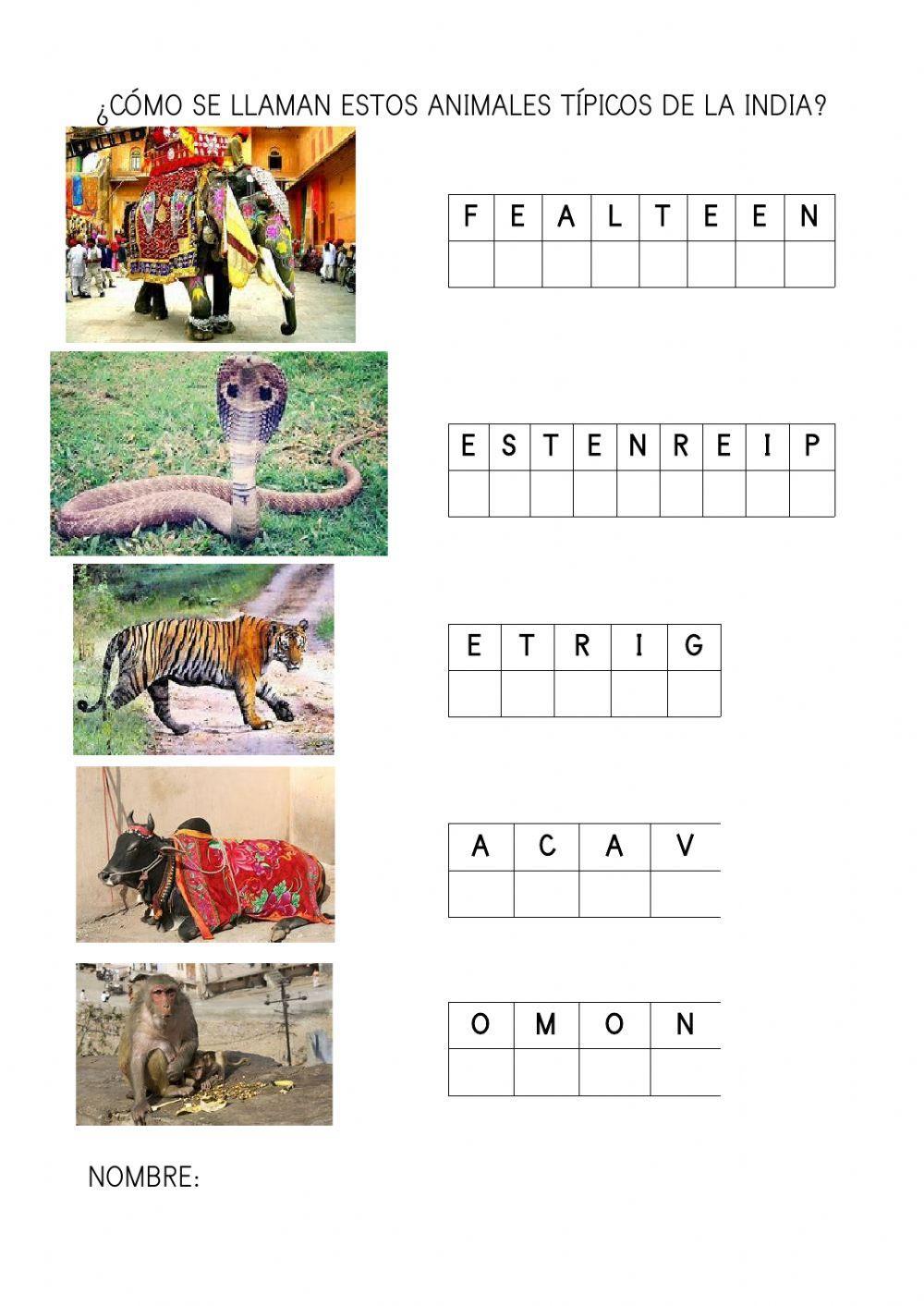 Animales de la india