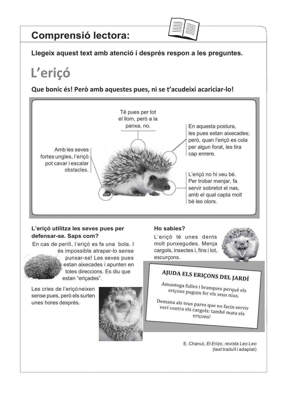 Comprensió lectora L'ERIÇÓ