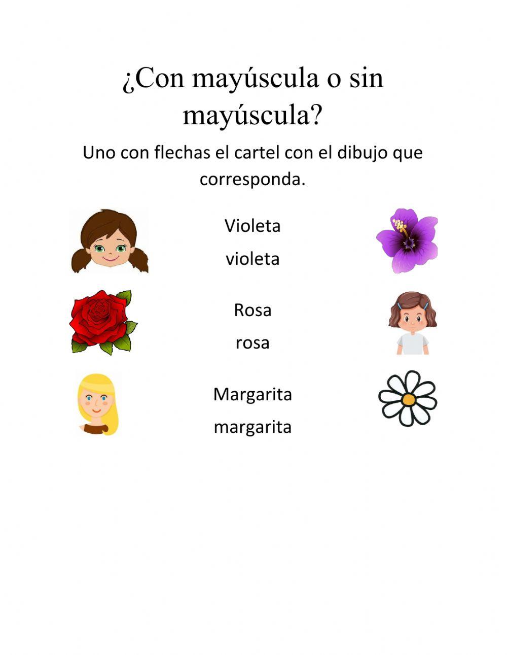 ¿Con mayúscula o sin mayúscula?