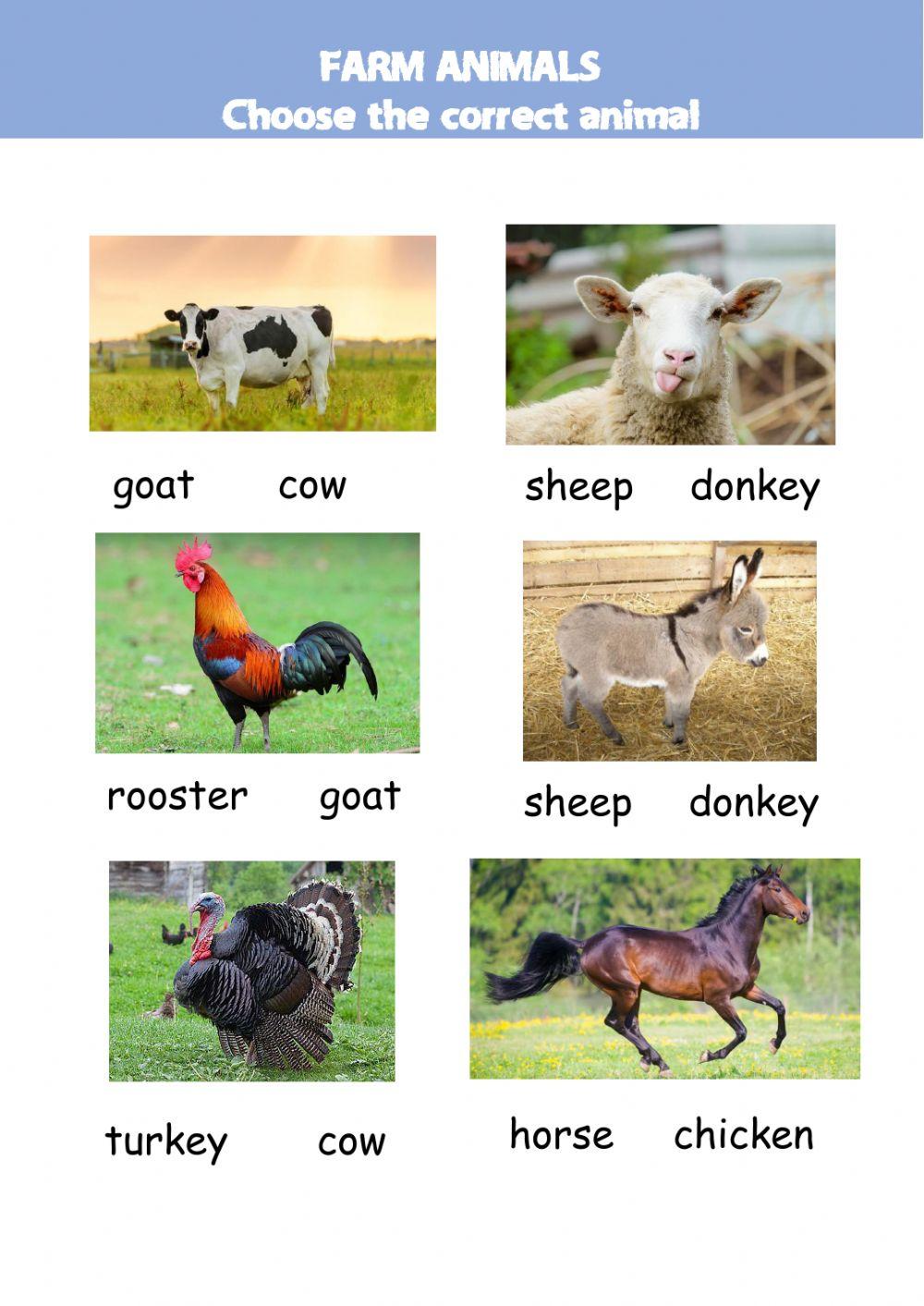 Farm animals choose