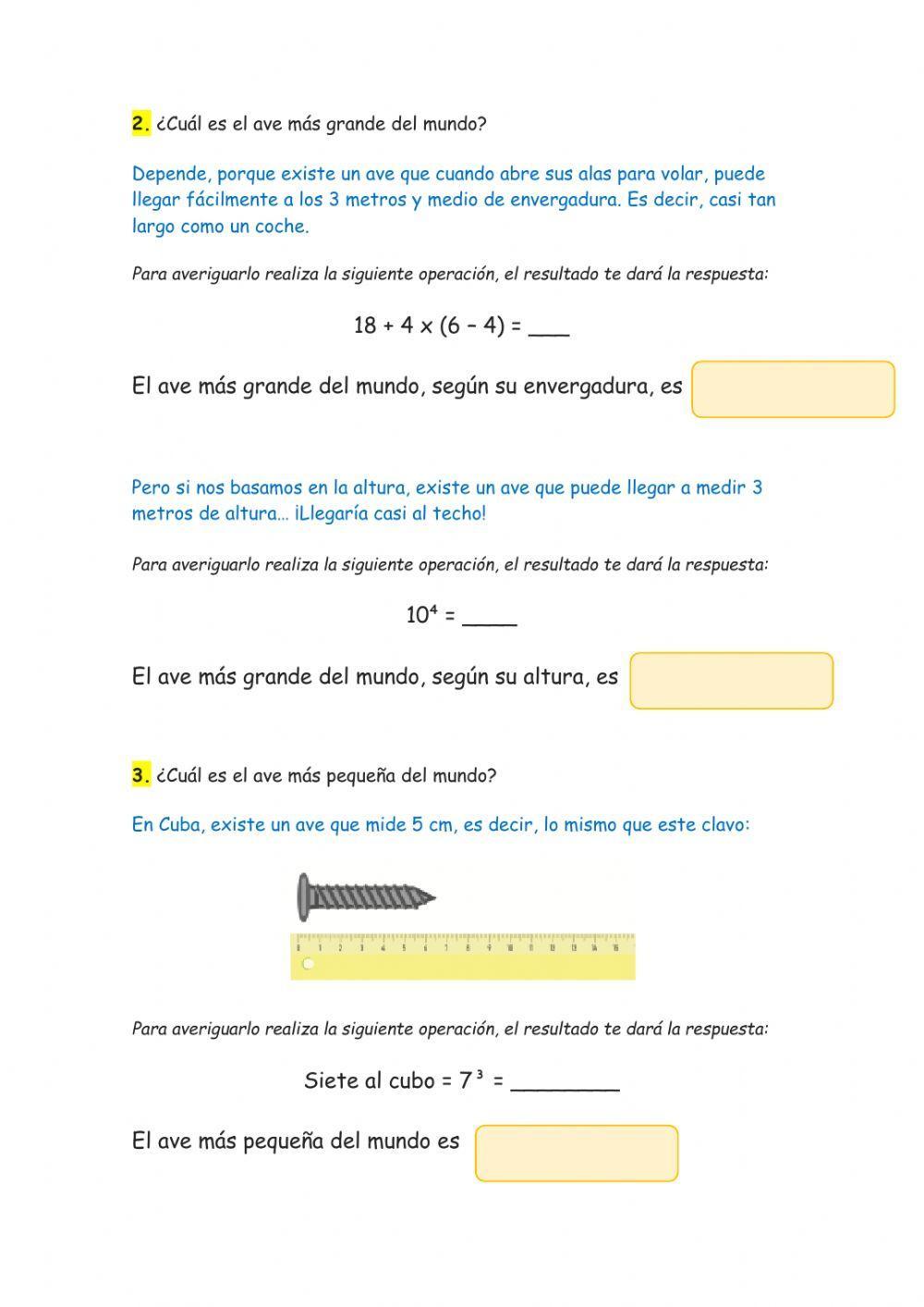 Matemáticas y las aves