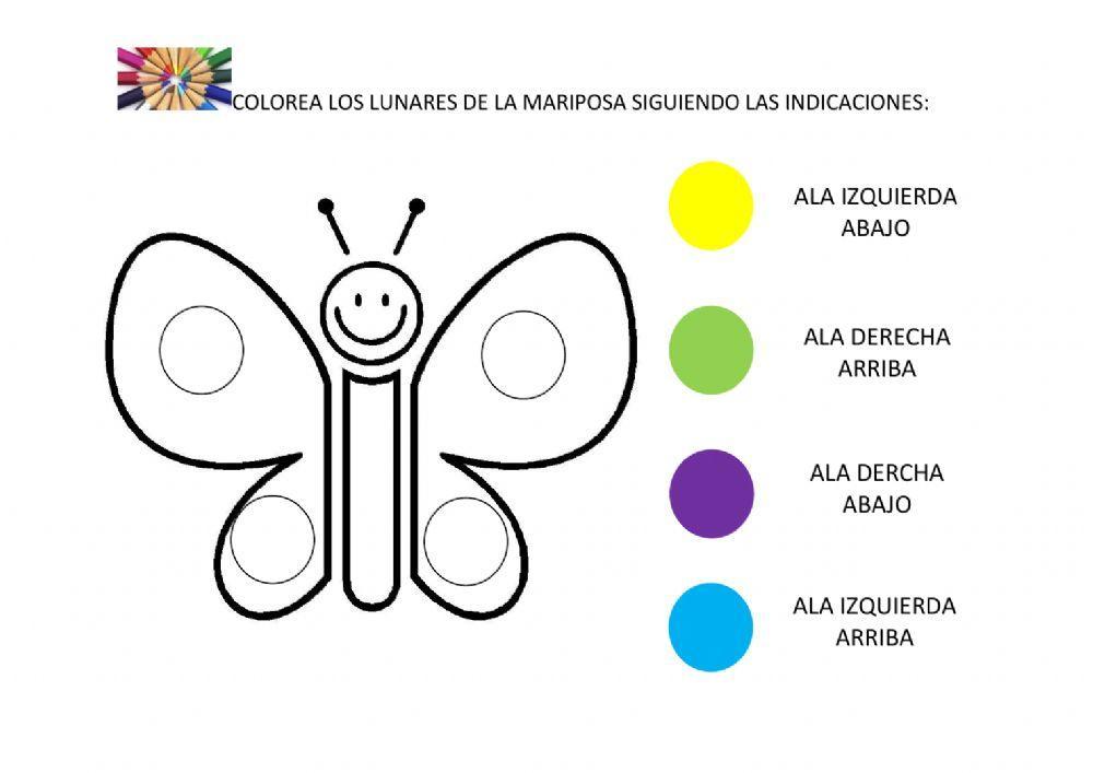 Lateralidad mariposa 1