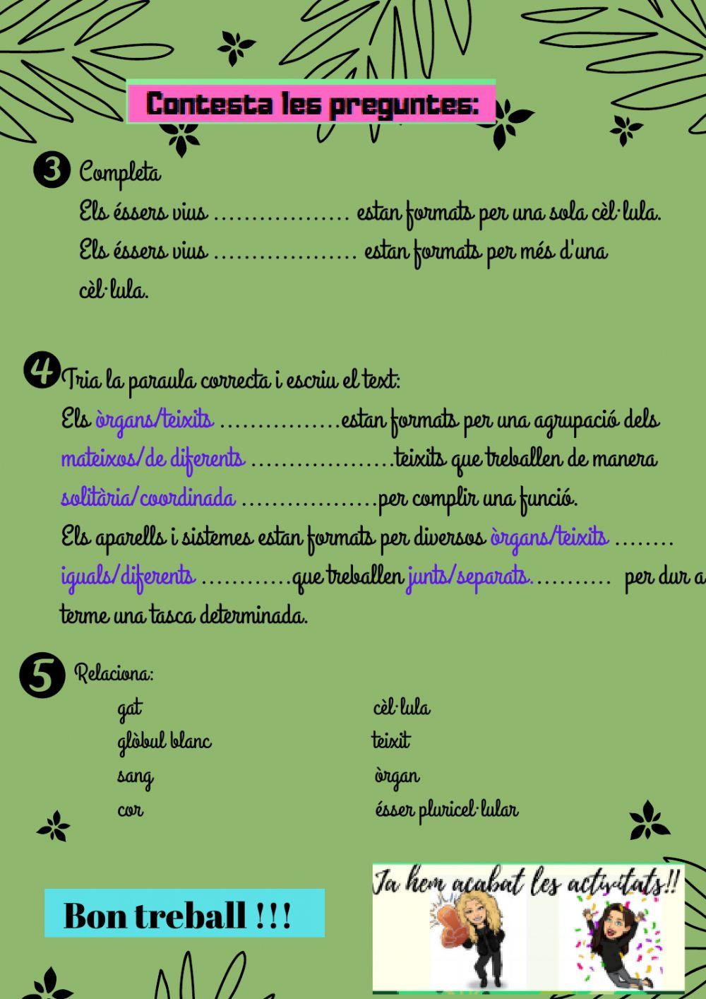 Organització éssers vius