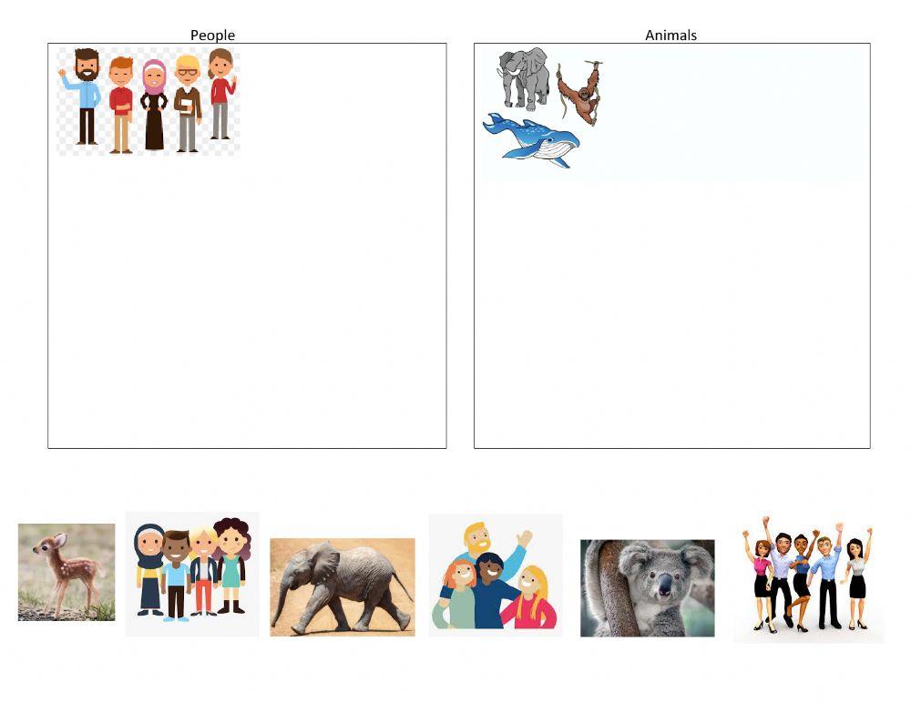 Sorting Animals and People