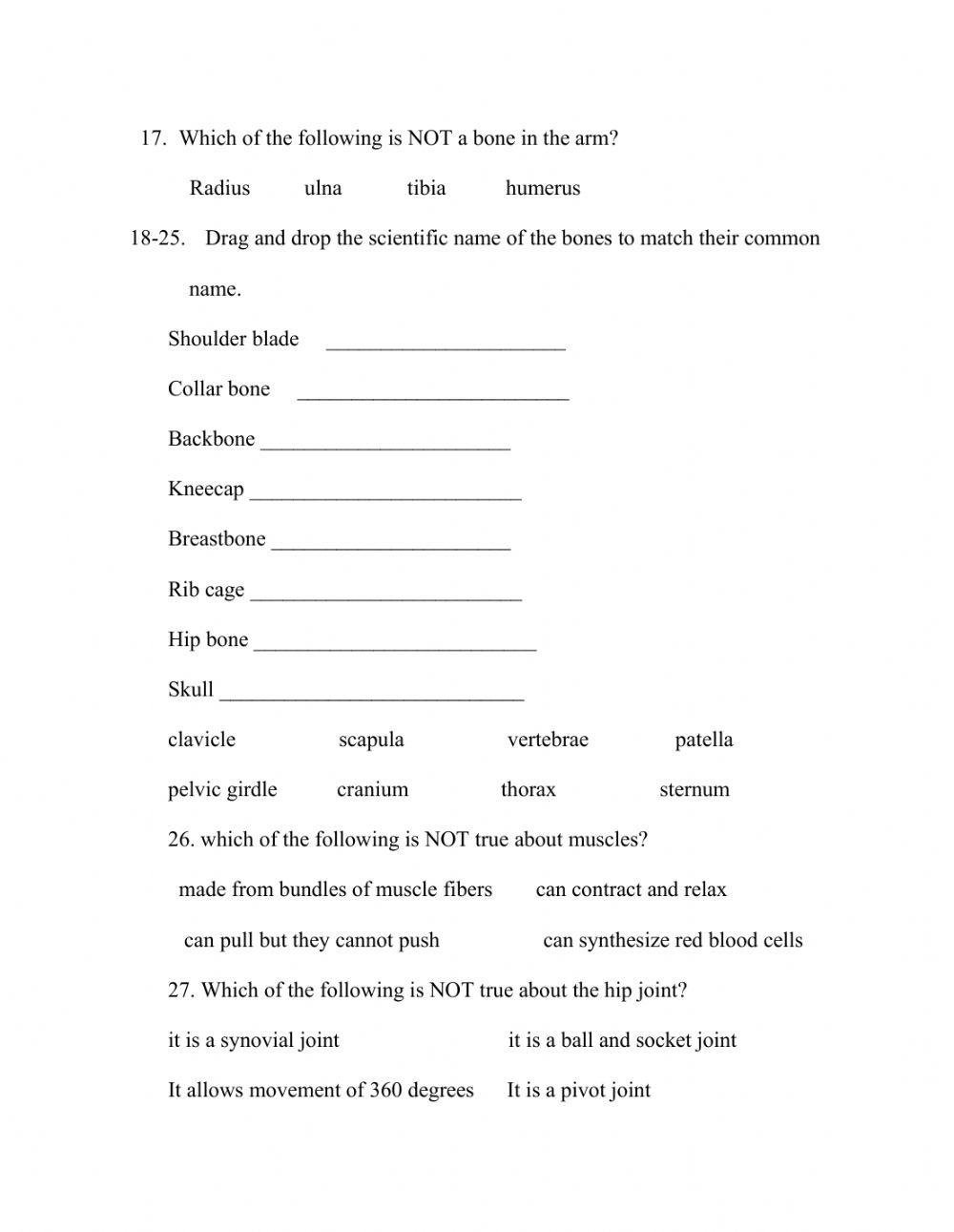 Skeleton Joints Movement online exercise for Live Worksheets