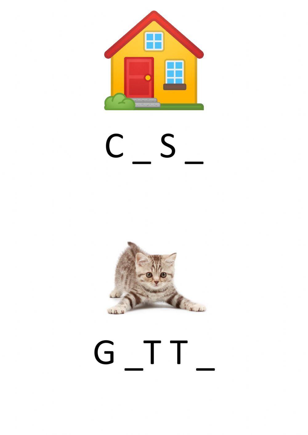 Completa inserendo le vocali mancanti
