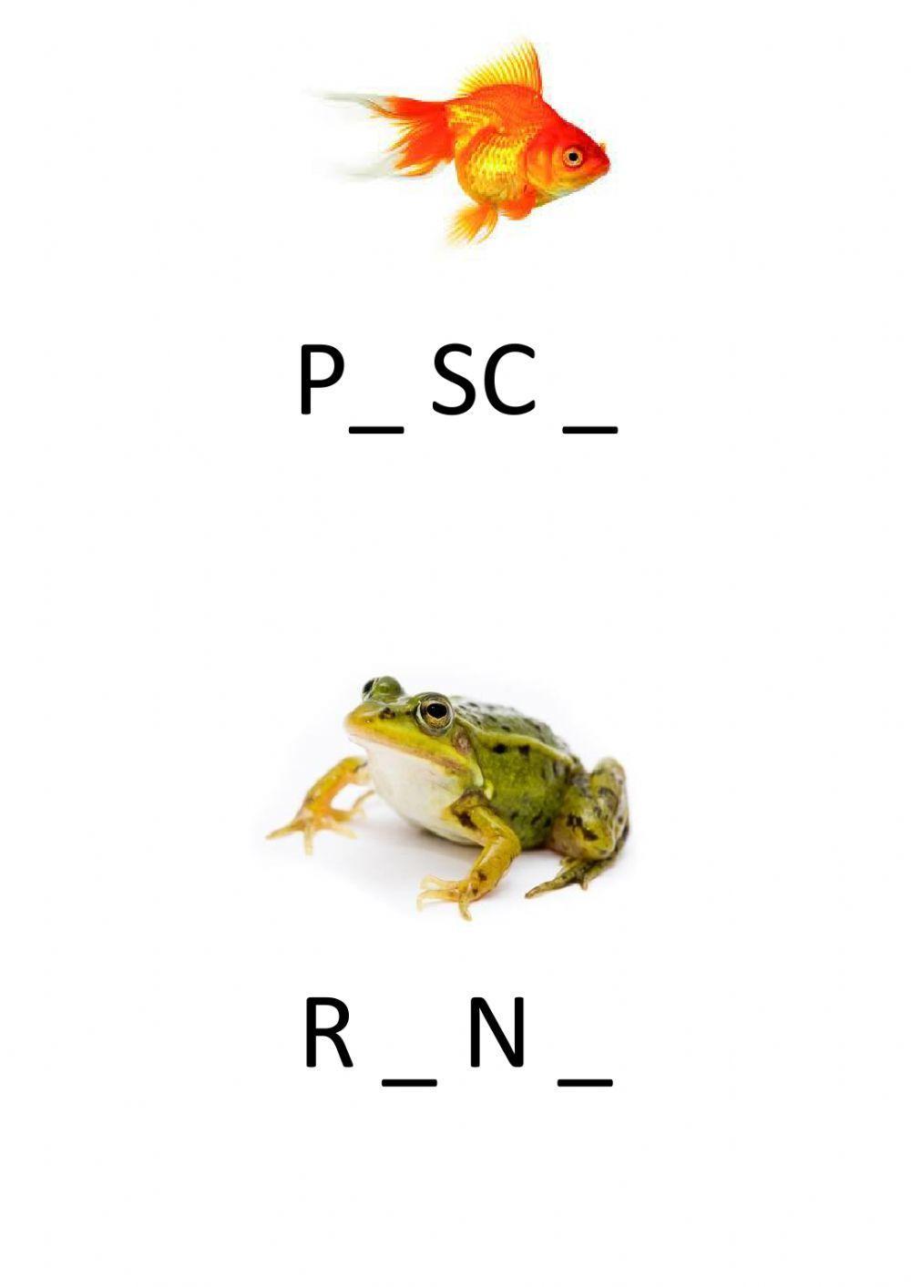 Completa inserendo le vocali mancanti