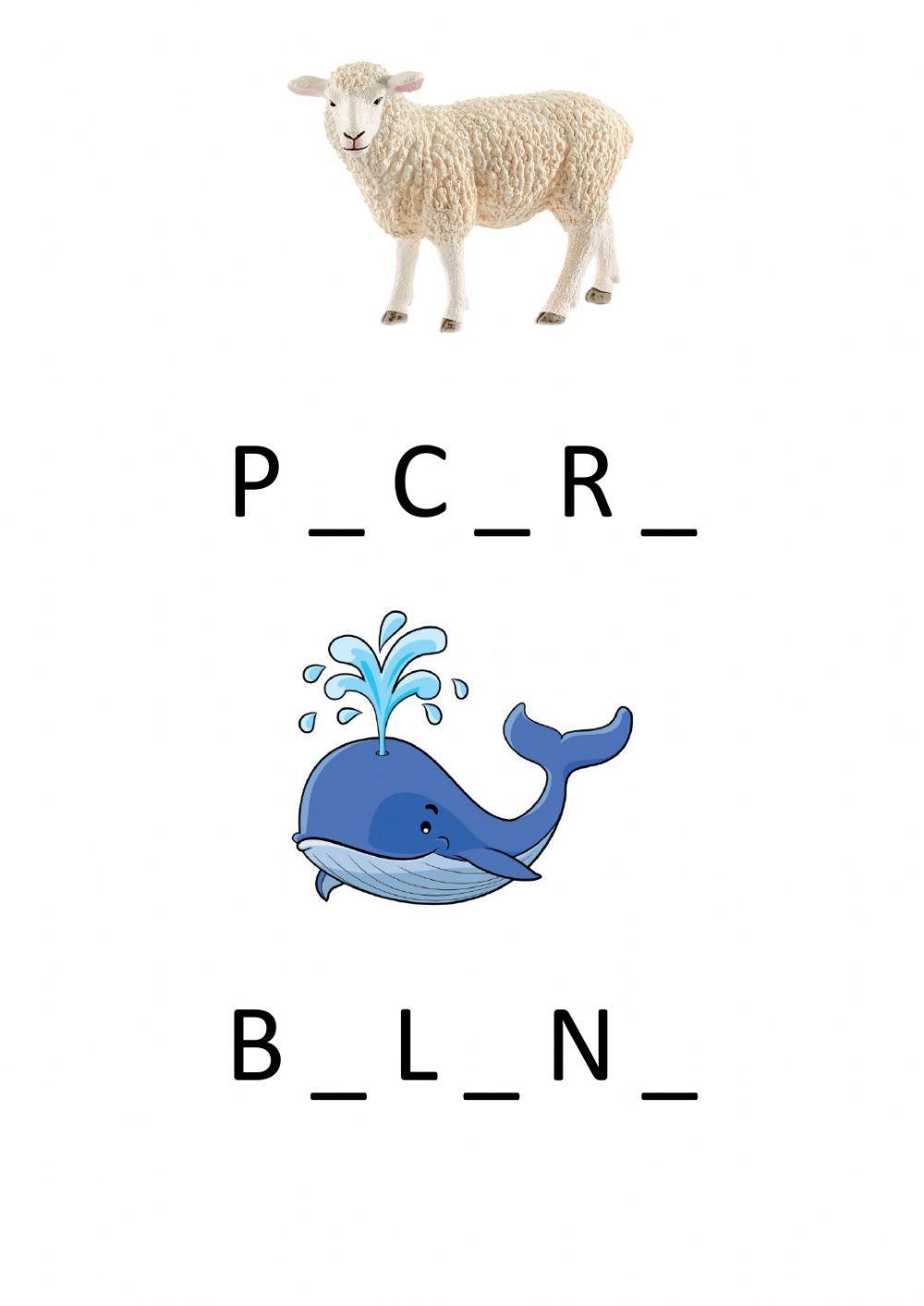 Completa inserendo le vocali mancanti