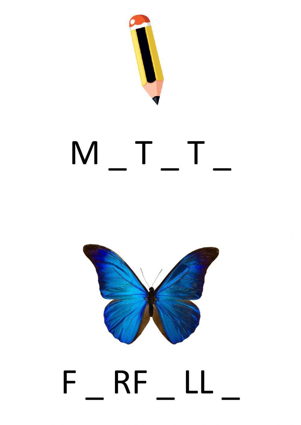 Completa inserendo le vocali mancanti