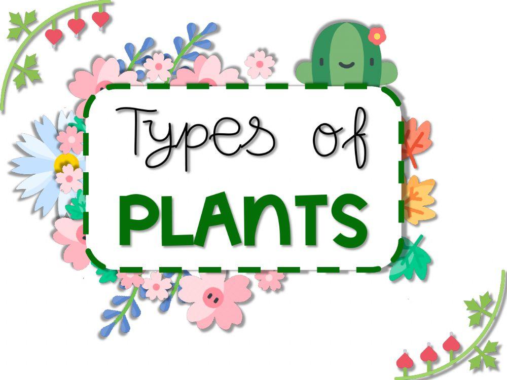 Types of plants Types of plants