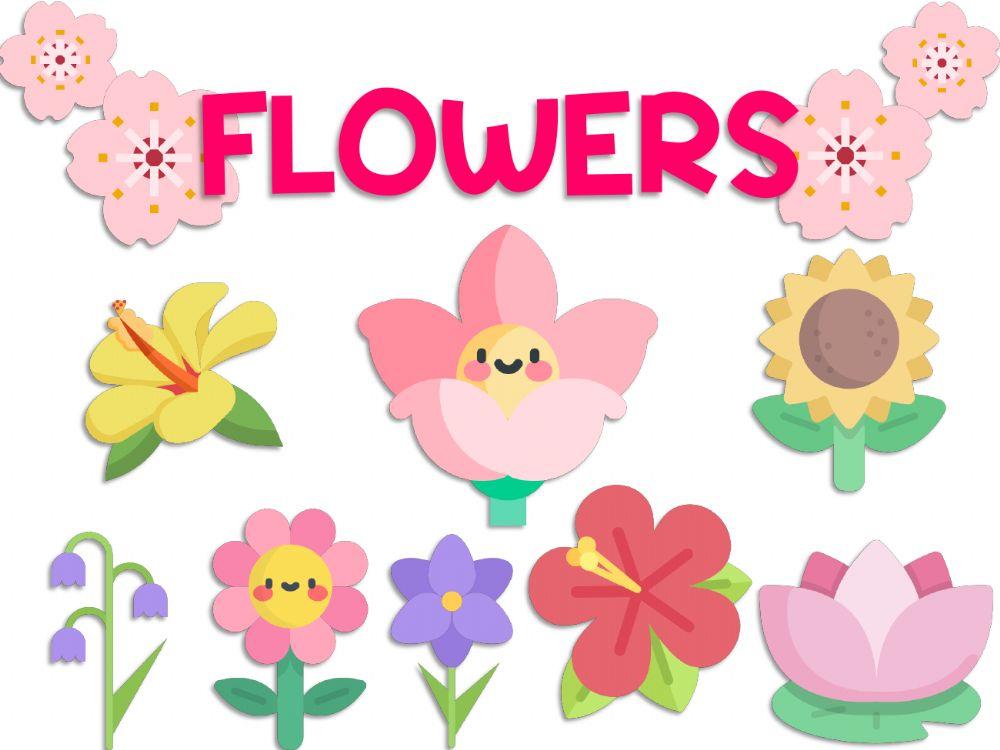 Types of plants Types of plants