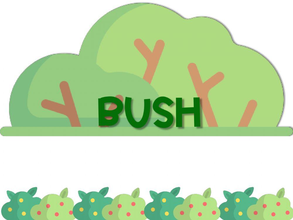 Types of plants Types of plants