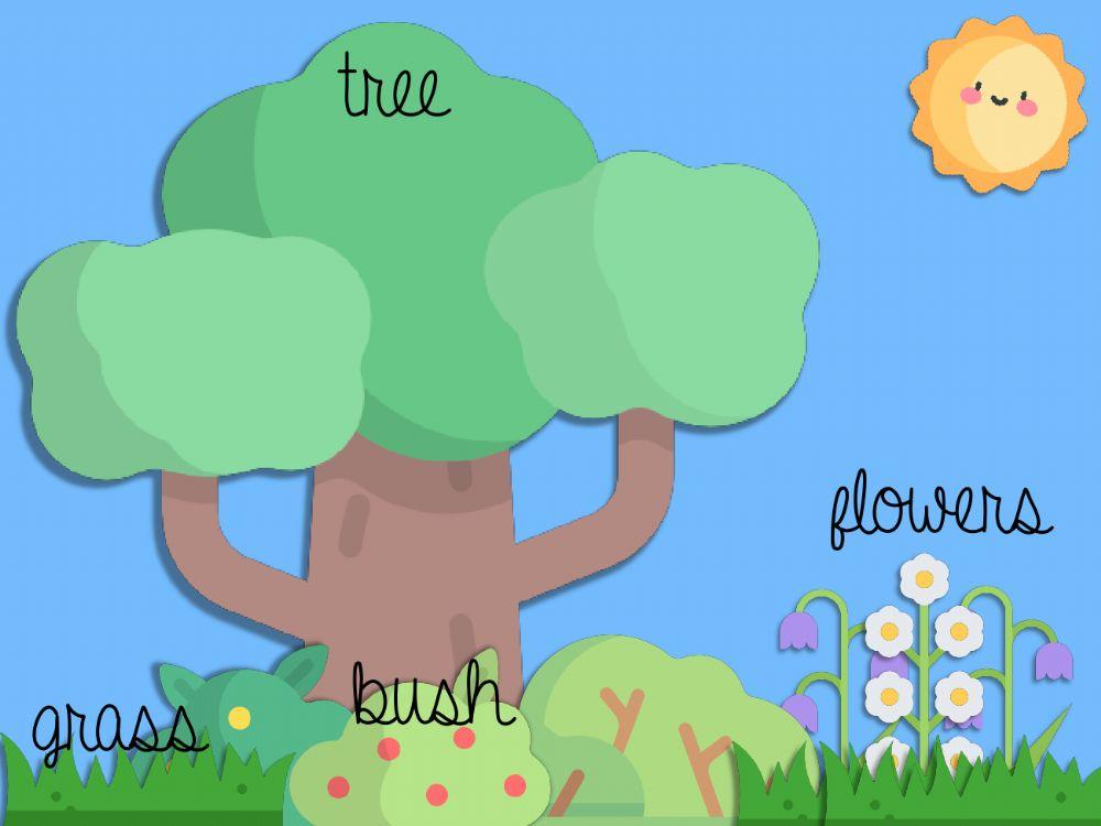 Types of plants Types of plants
