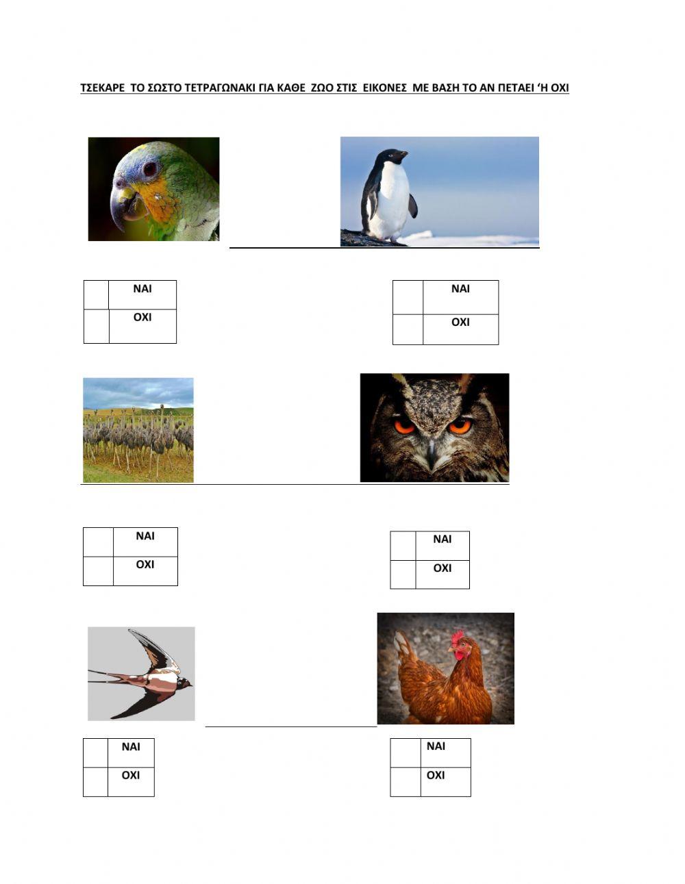 Τα πουλια που πετουν 'η οχι