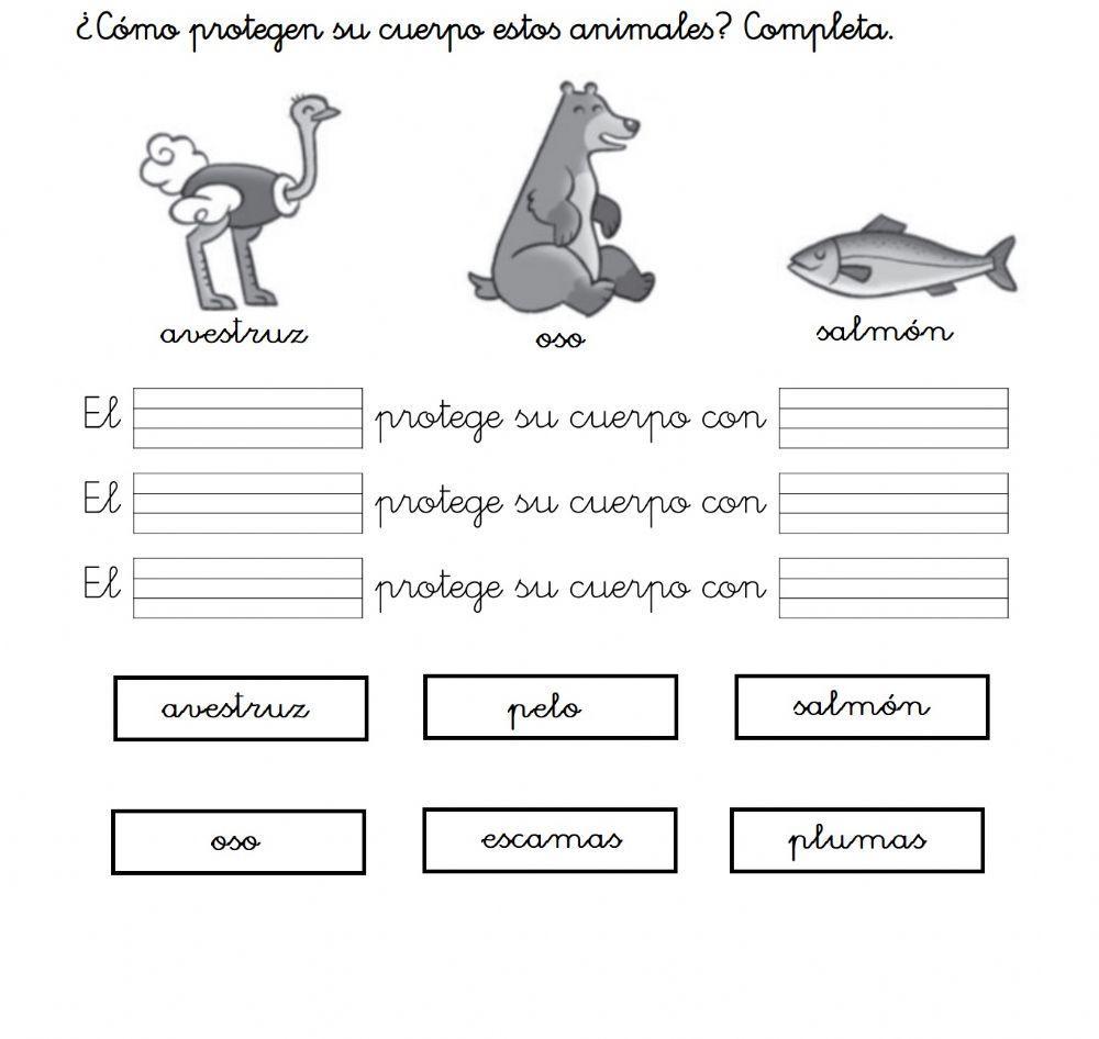 Animales con pelo plumas y escamas