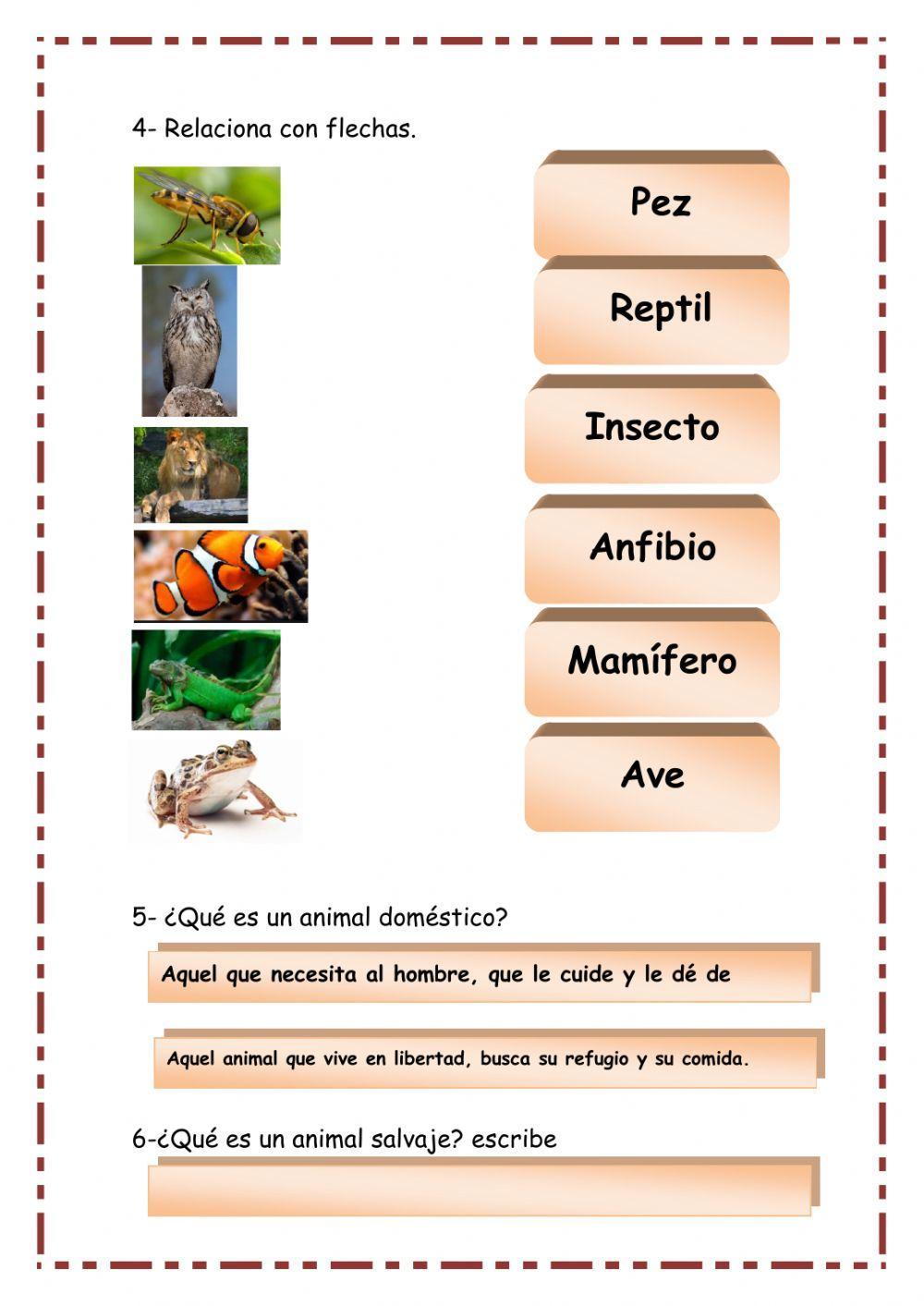 Los animales