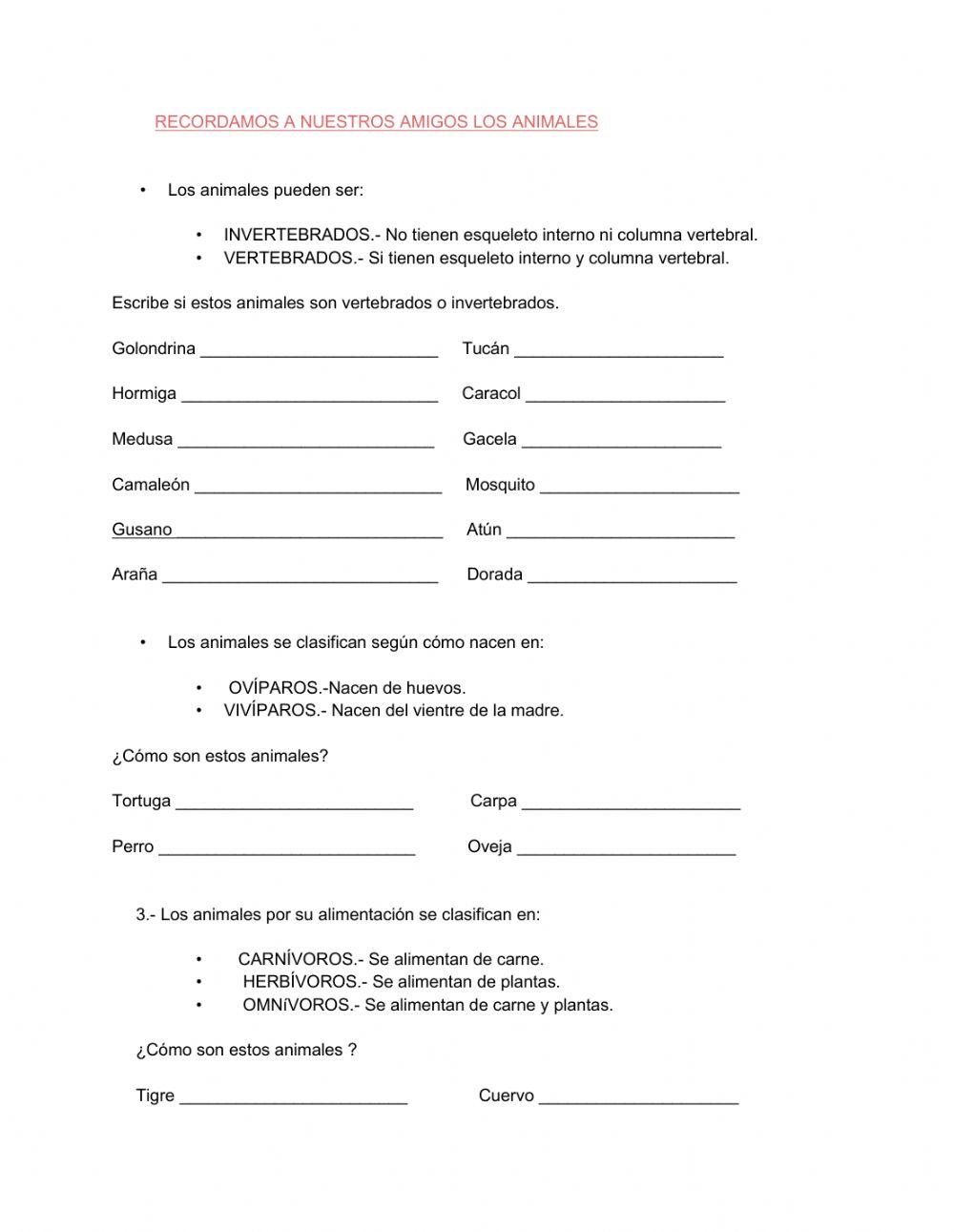 Clasificación animales