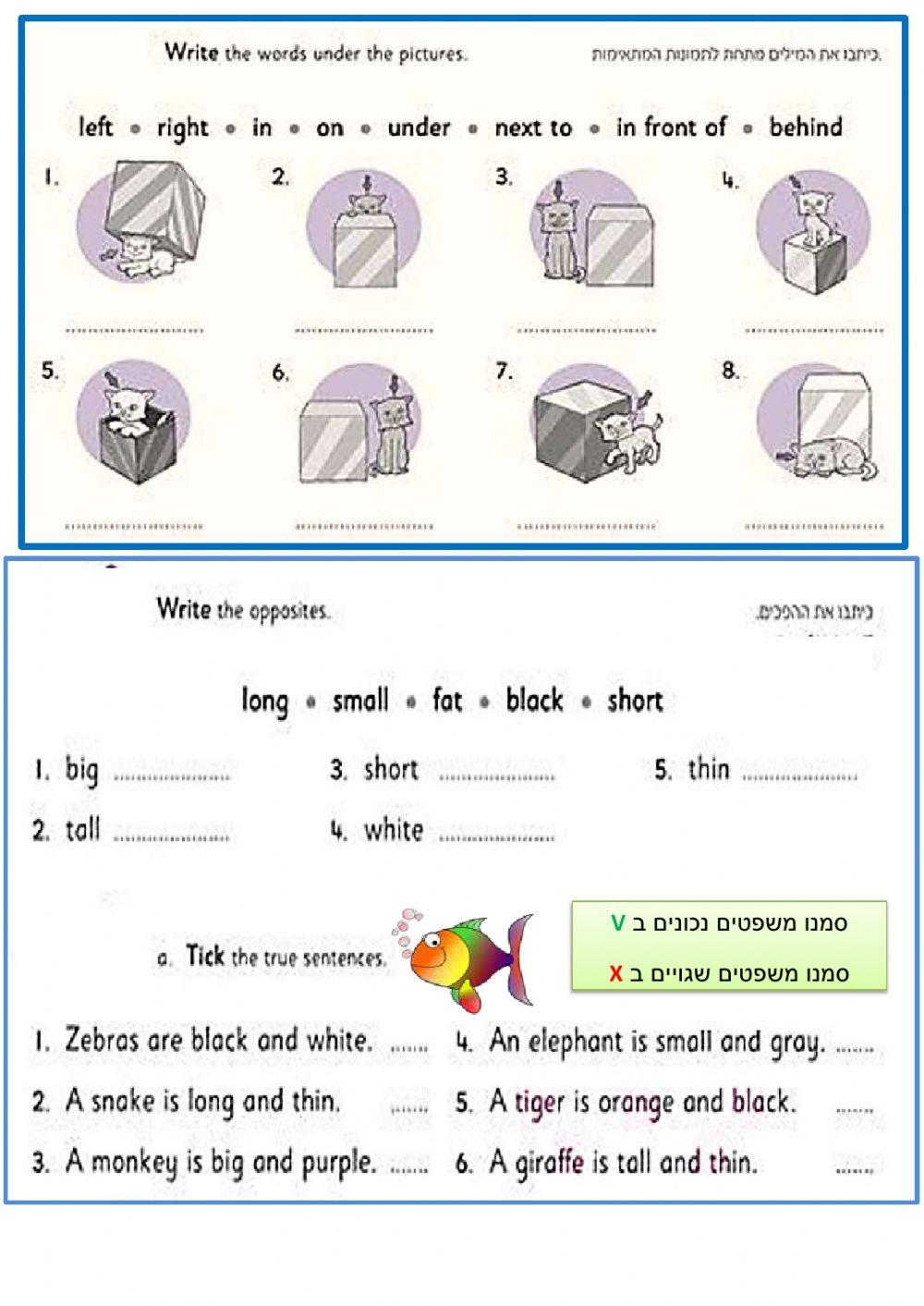 Reading  and words Grade 4