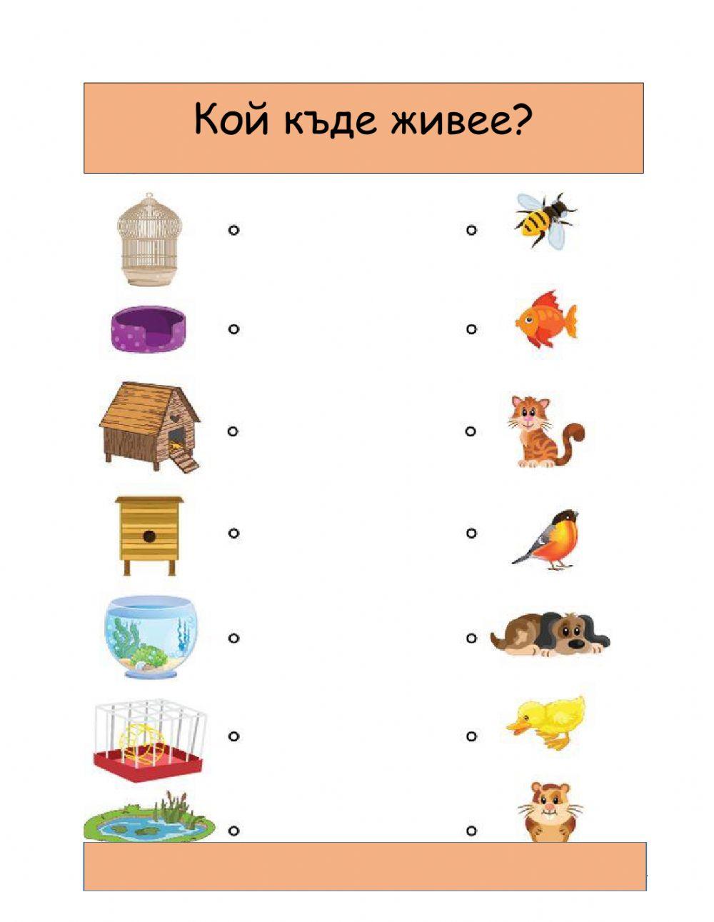 Кой е моят дом? worksheet | Live Worksheets
