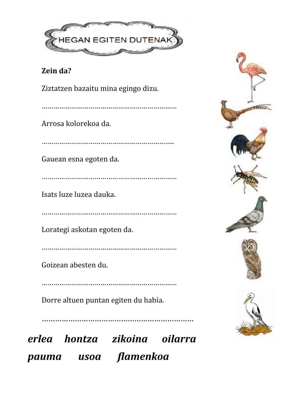 Hegan egiten dute animaliak