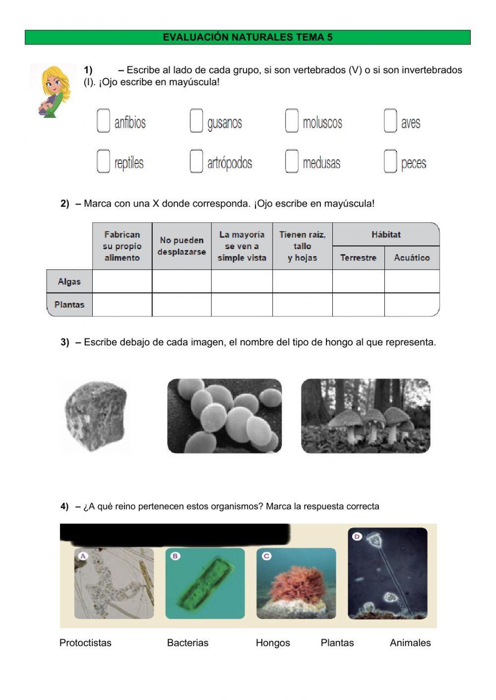 Evaluación Naturales Tema 5