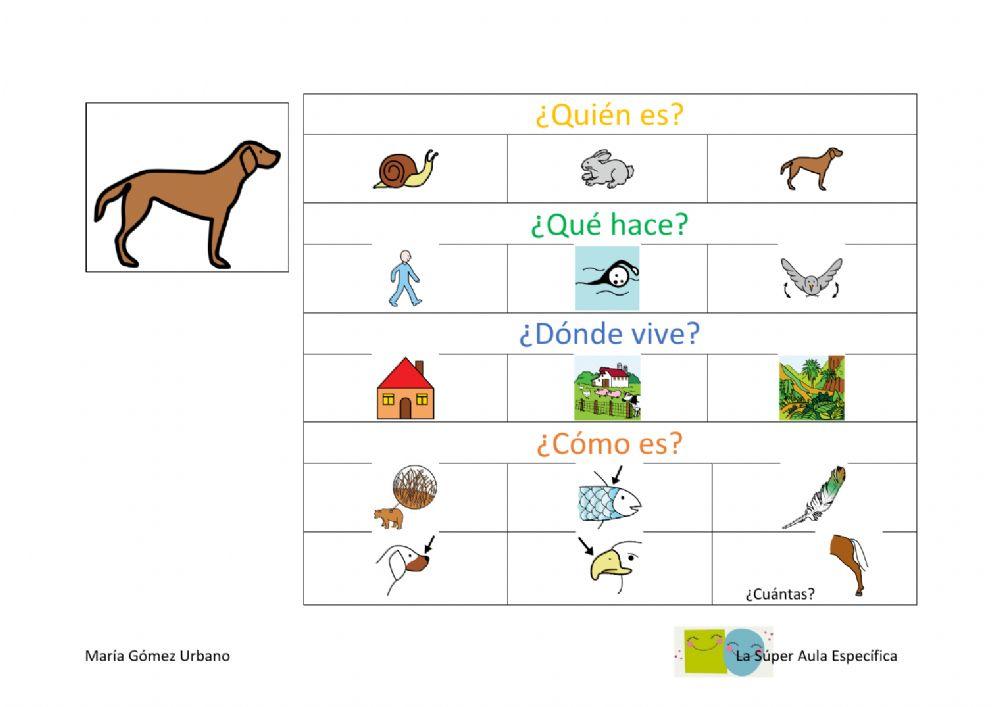 Describimos animales