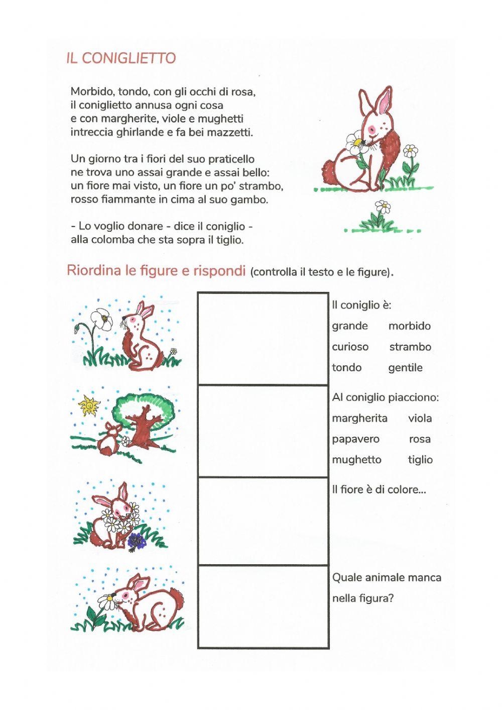 Il coniglietto Il coniglietto