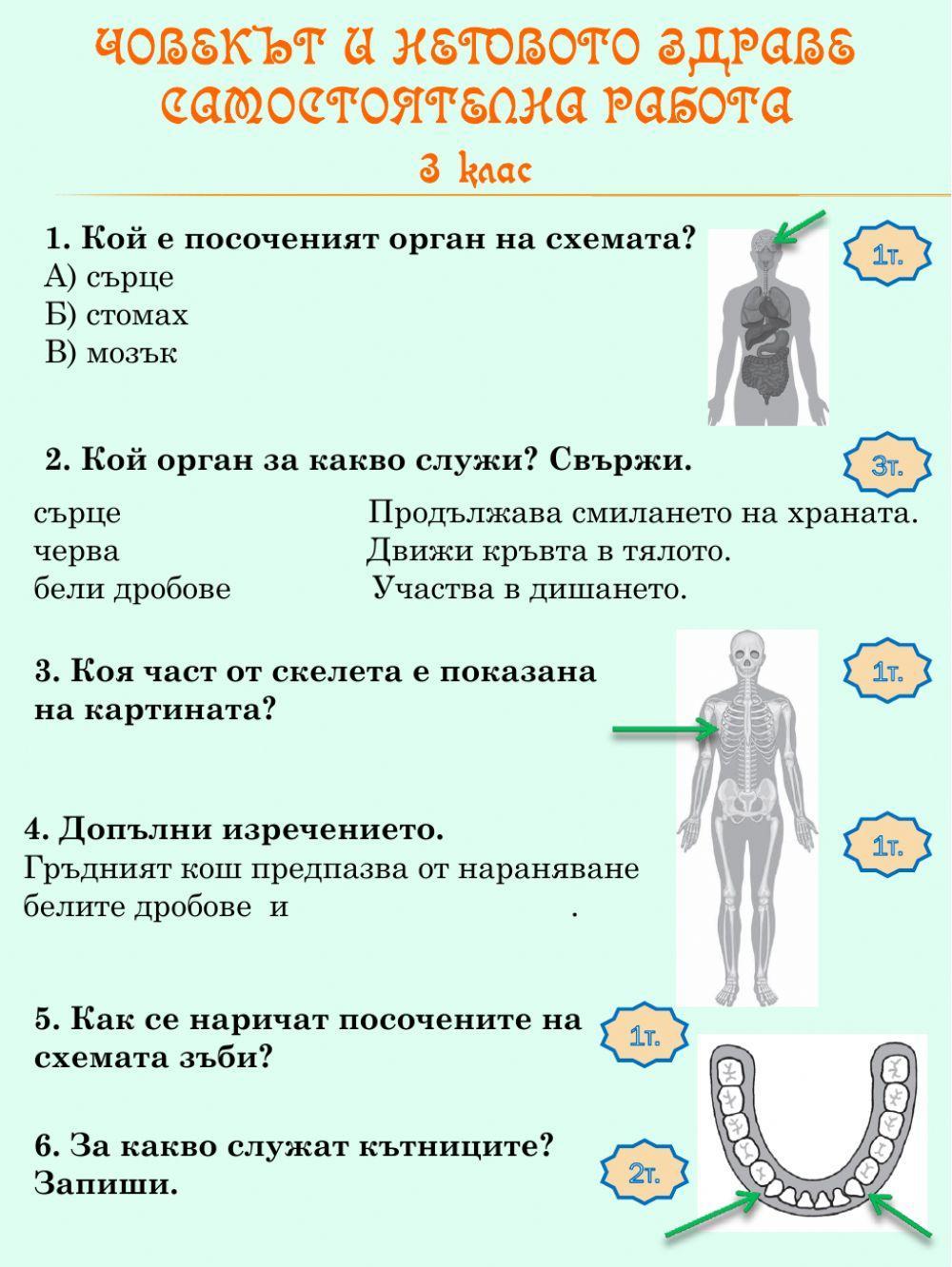 Човекът и неговото здраве СР worksheet | Live Worksheets