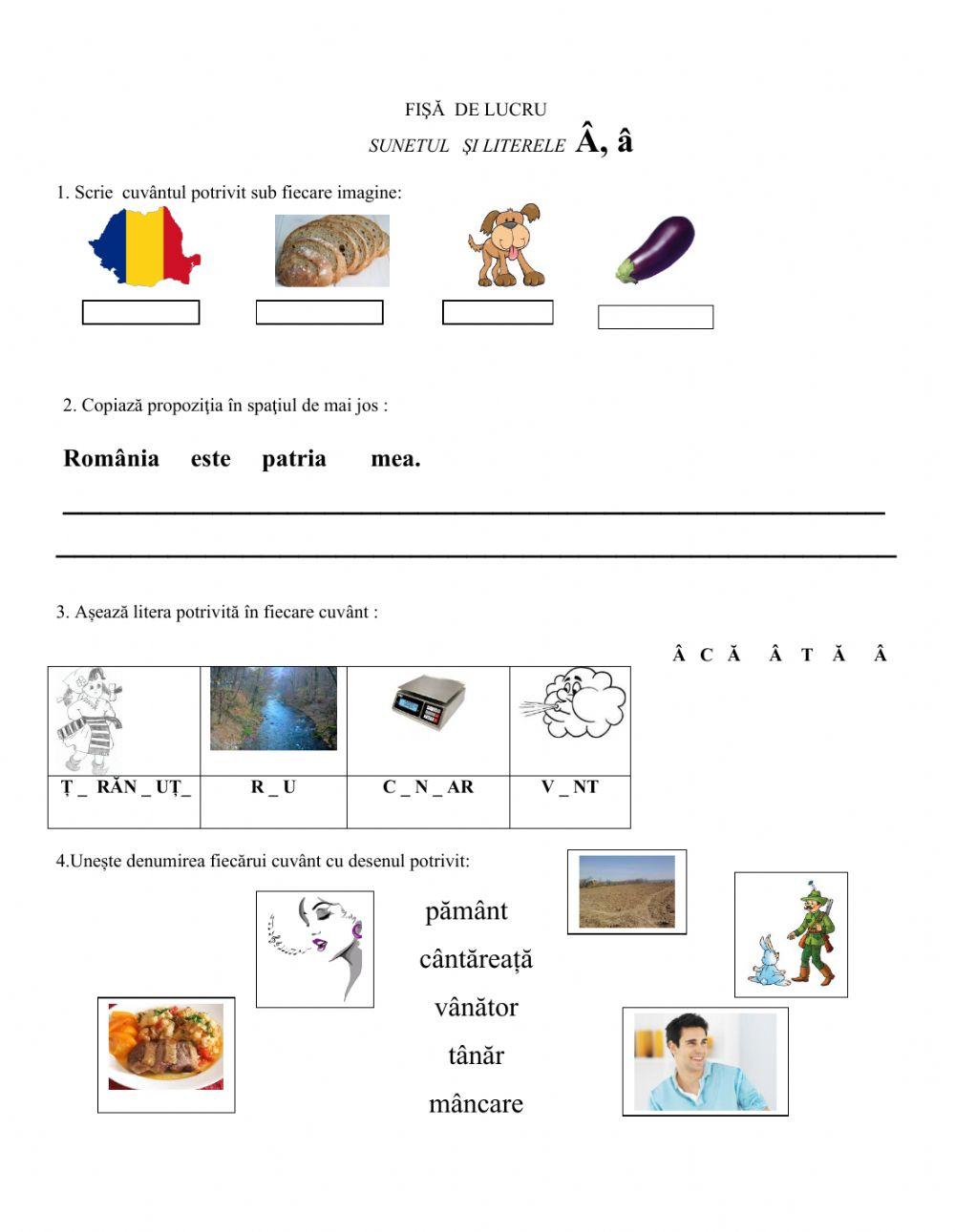 Fișă de lucru