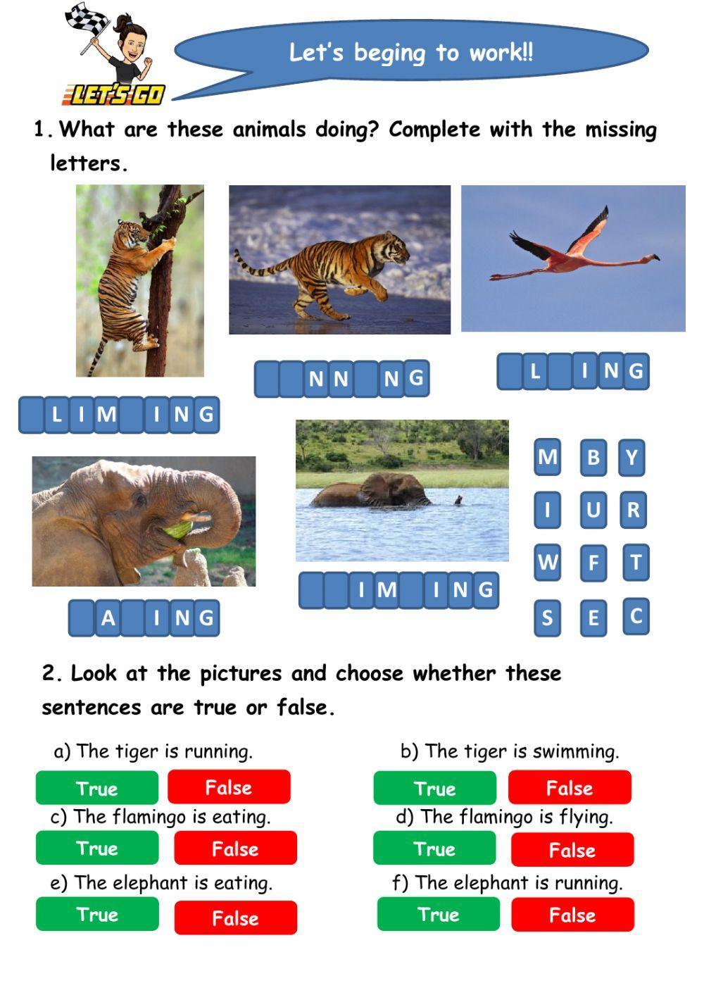 What are these animals doing?