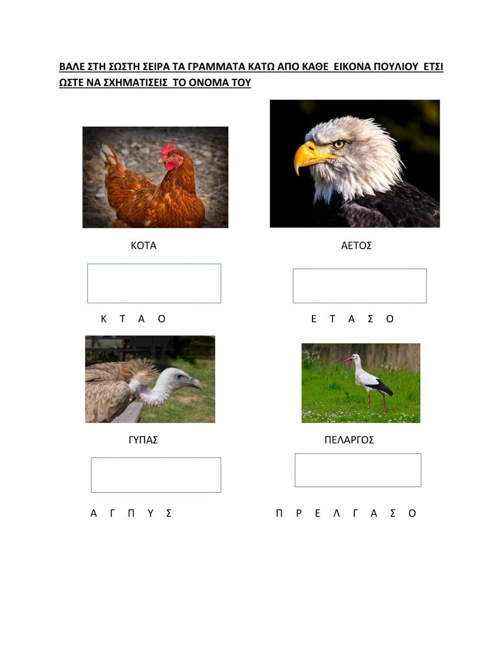 Ονοματα πουλιων