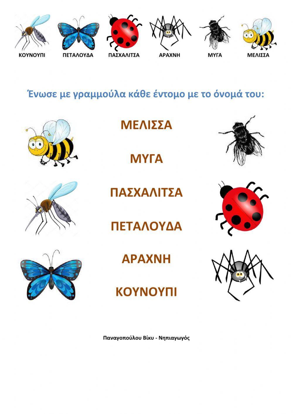 Ενώνω τα έντομα Ενώνω τα έντομα