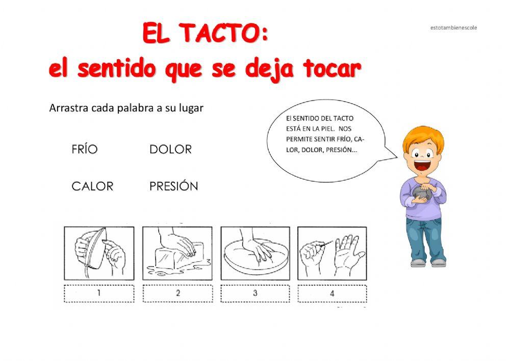 El tacto