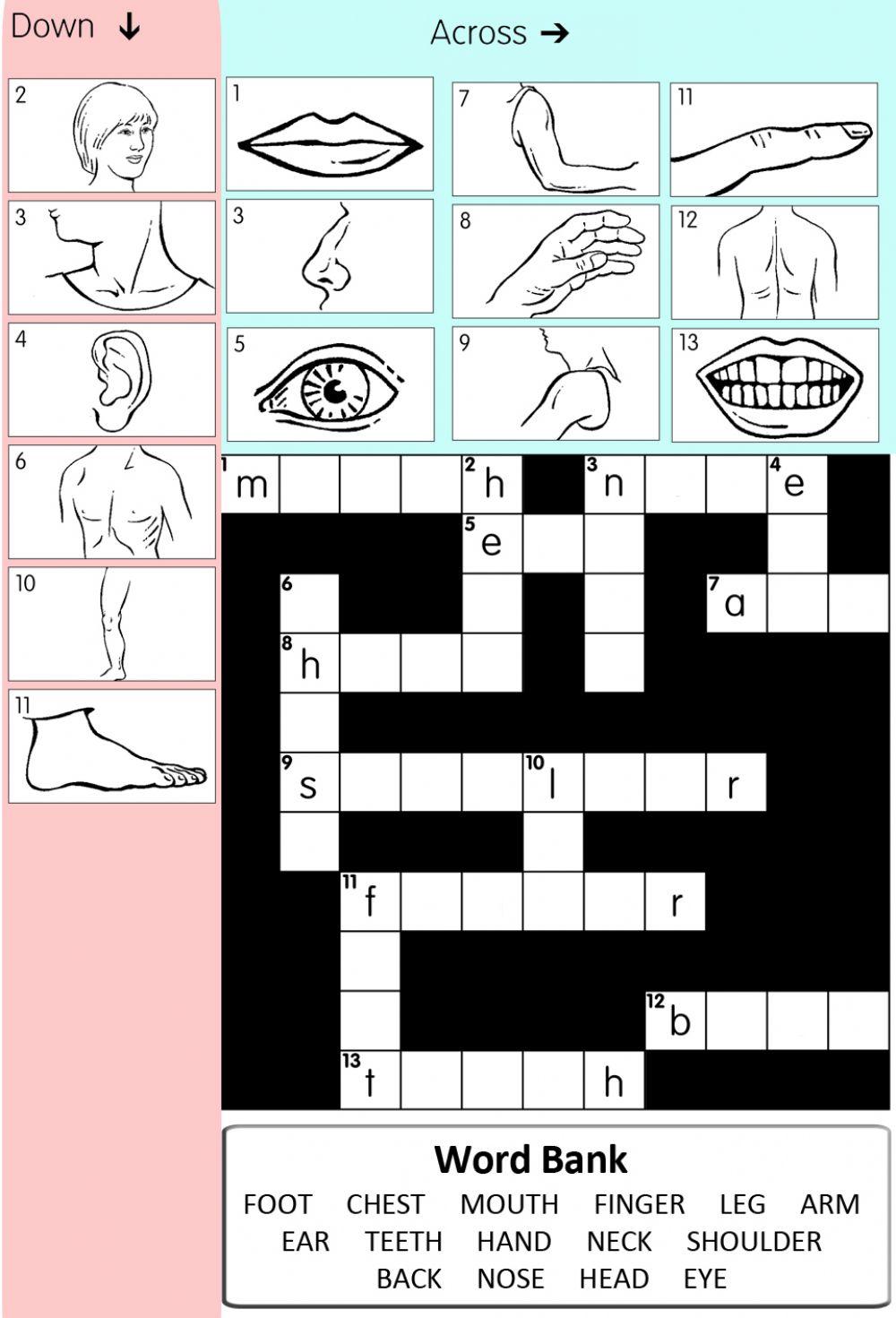 Parts of the Body Crossword