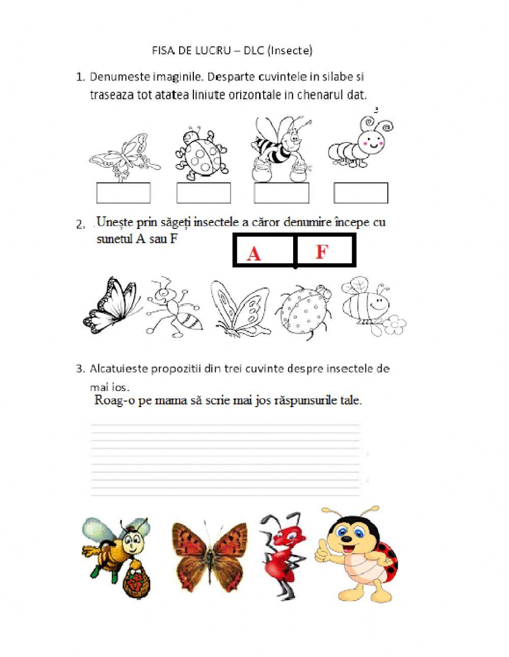 Silabă, sunet, propoziție