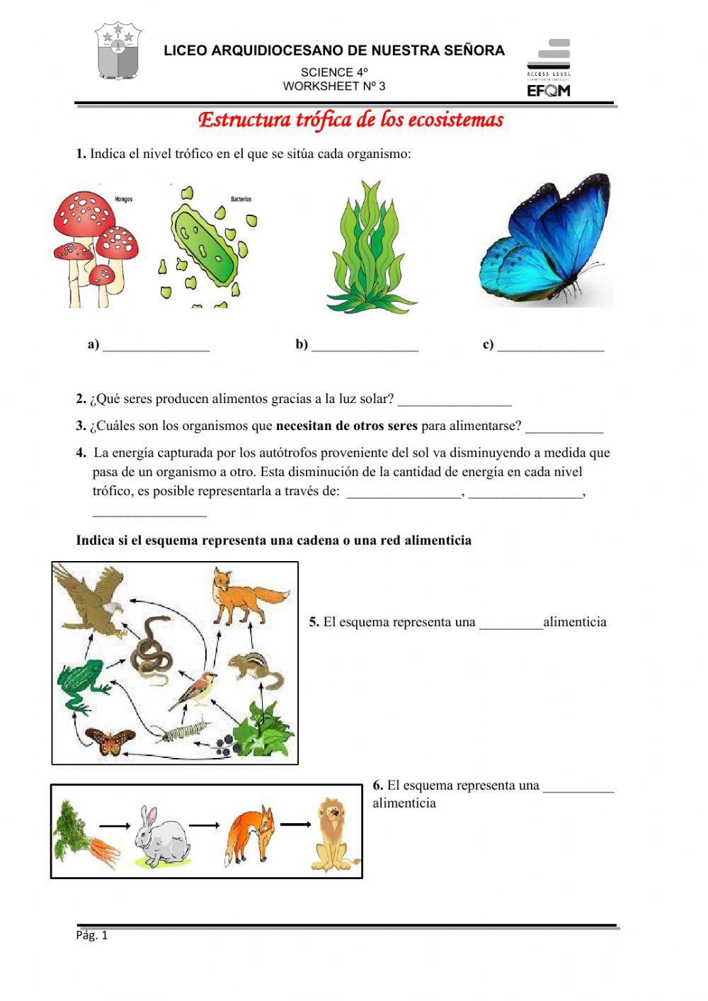 Estructura trófica de los ecosistemas