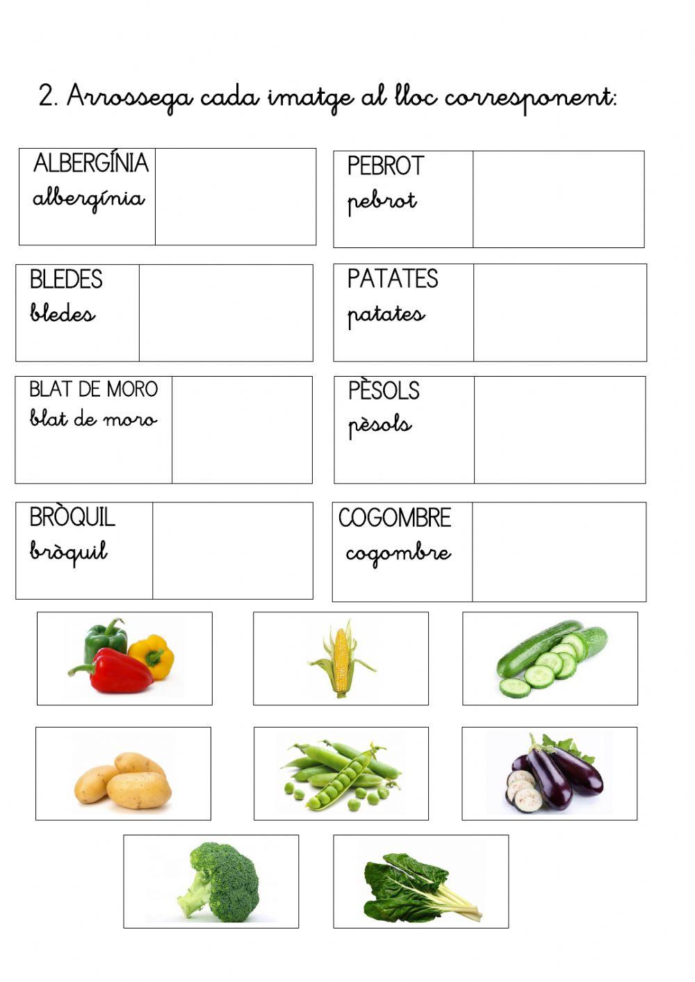 Verdures i hortalisses 2