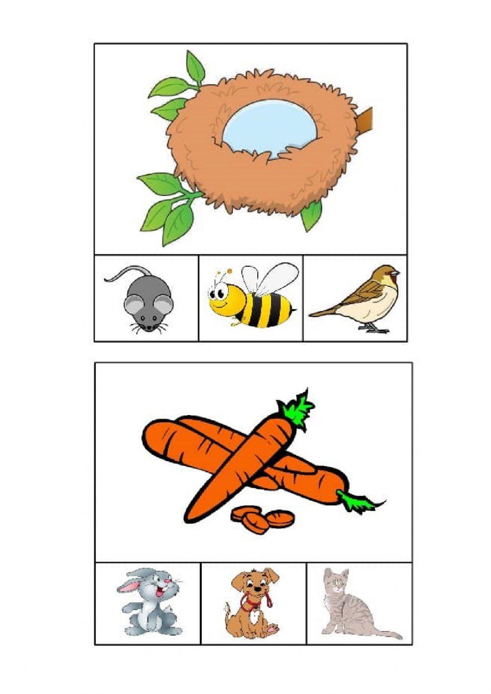 Associa l'immagine giusta