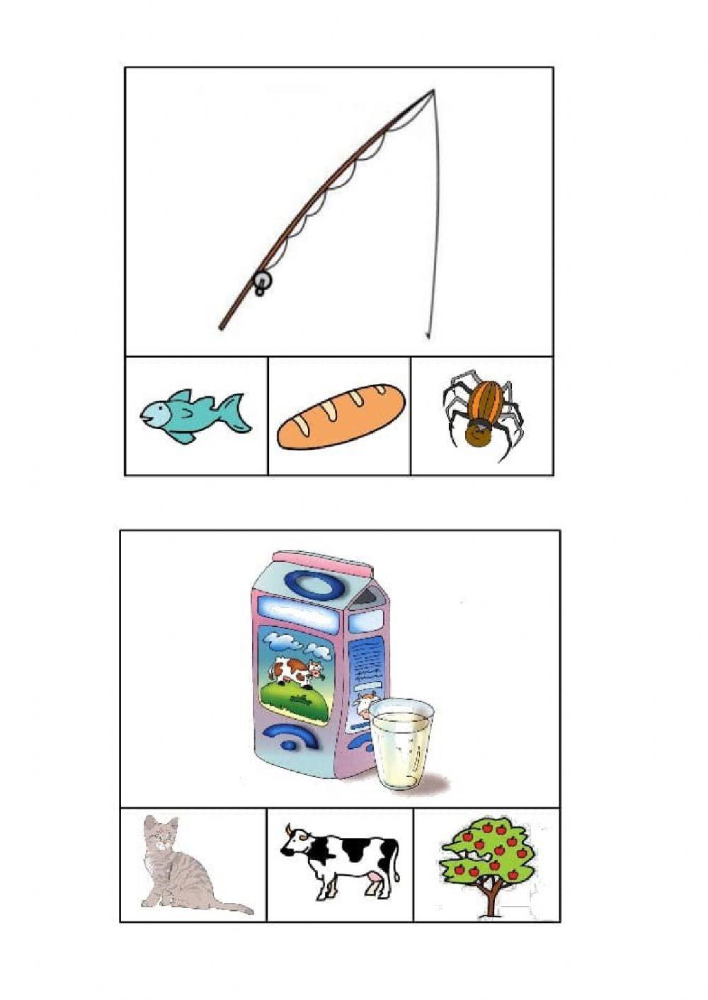 Associa l'immagine giusta