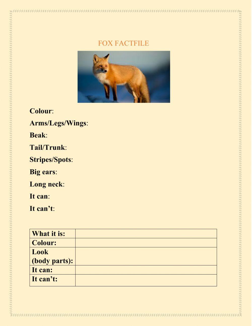 Wild animals - Fox fact file